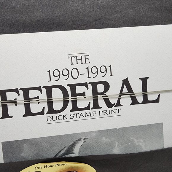 James Hautman 1990 Federal Duck Stamp Print With Stamp Whistling Tree Ducks 1989 - Picture 13 of 13